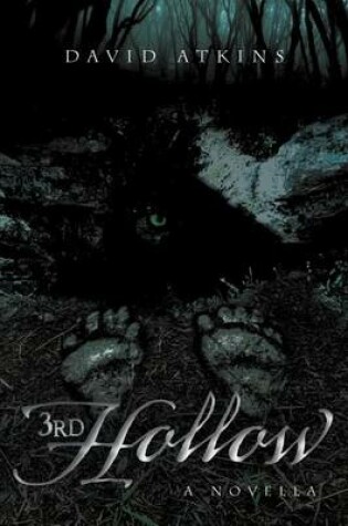 Cover of 3rd Hollow
