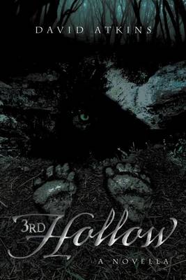 Book cover for 3rd Hollow