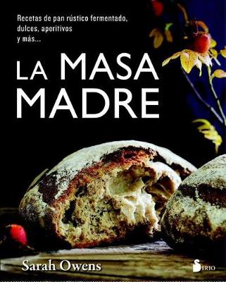 Book cover for La Masa Madre