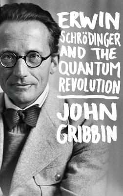 Book cover for Erwin Schrodinger and the Quantum Revolution