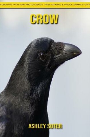 Cover of Crow