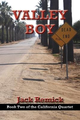 Book cover for Valley Boy
