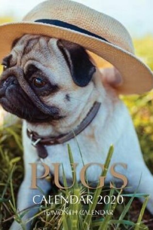 Cover of Pugs Calendar 2020