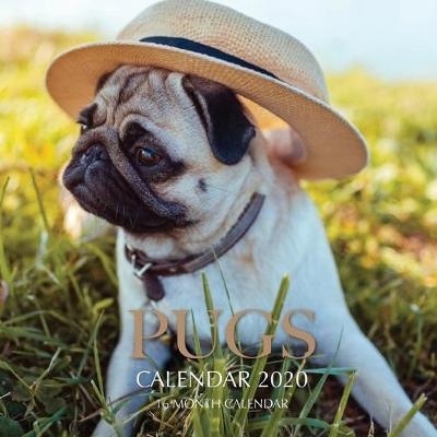 Book cover for Pugs Calendar 2020