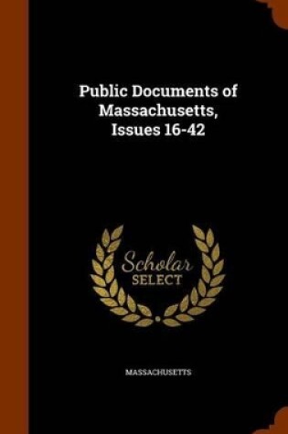 Cover of Public Documents of Massachusetts, Issues 16-42
