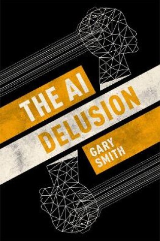 Cover of The AI Delusion