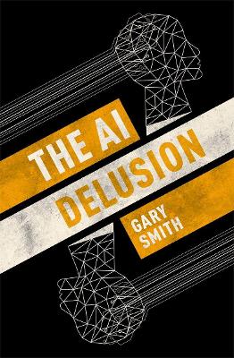 Book cover for The AI Delusion