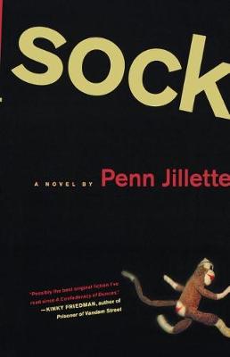 Book cover for Sock