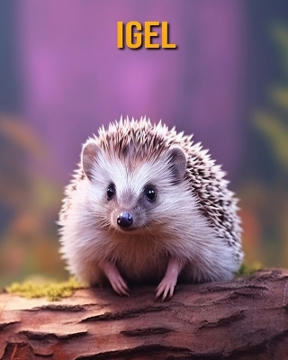 Book cover for Igel