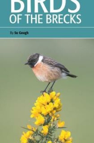 Cover of Birds of the Brecks