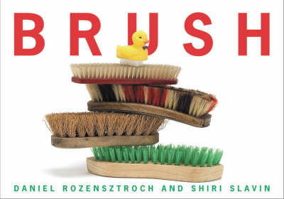 Book cover for Brush