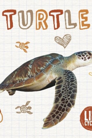 Cover of Turtle