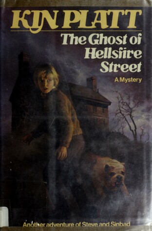 Book cover for The Ghost of Hellsfire Street