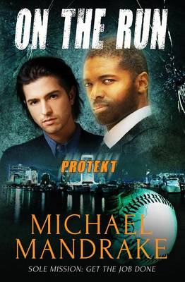 Book cover for Protekt