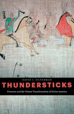 Book cover for Thundersticks