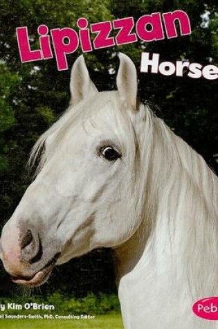 Cover of Lipizzan Horses
