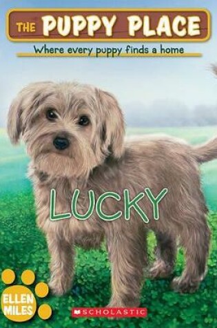 Cover of Lucky