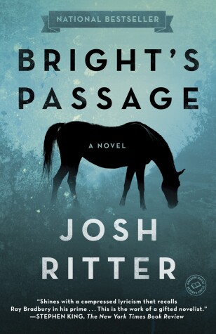 Book cover for Bright's Passage