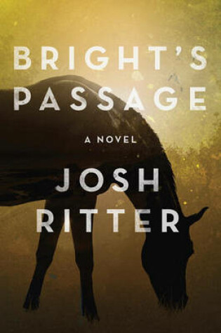 Cover of Bright's Passage