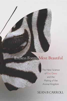 Book cover for Endless Forms Most Beautiful