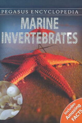 Cover of Marine Invertebrates