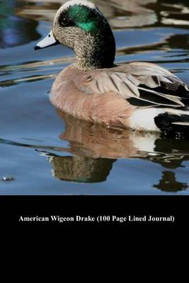 Book cover for American Wigeon Drake (100 Page Lined Journal)