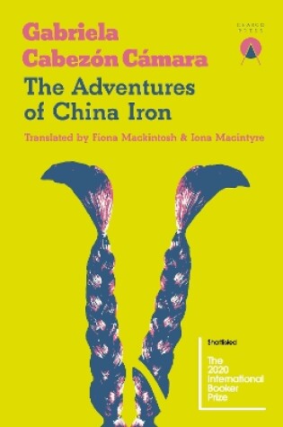 Cover of The Adventures of China Iron