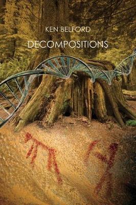 Book cover for Decompositions