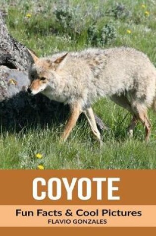 Cover of Coyote