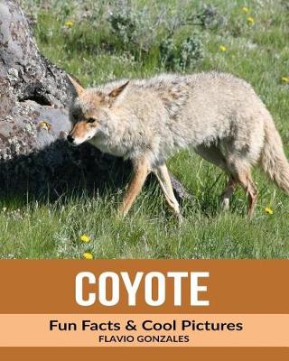 Book cover for Coyote