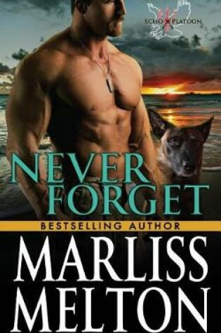 Cover of Never Forget