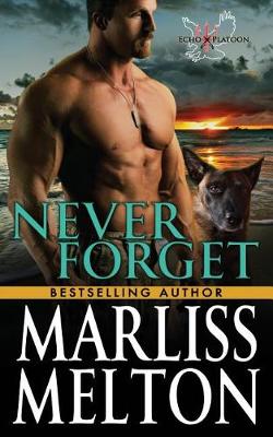 Book cover for Never Forget