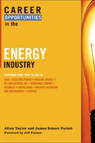 Cover of Career Opportunities in the Energy Industry
