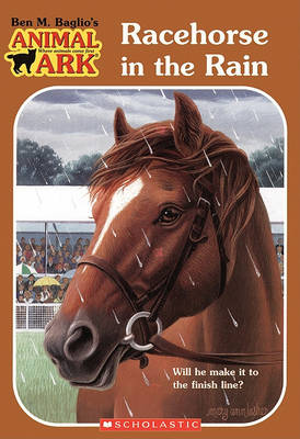 Cover of Racehorse in the Rain
