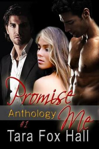 Cover of Promise Me Anthology