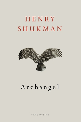 Book cover for Archangel