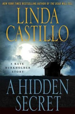 Cover of A Hidden Secret