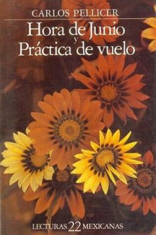 Cover of Hora de Junio y Practica de Vuelo