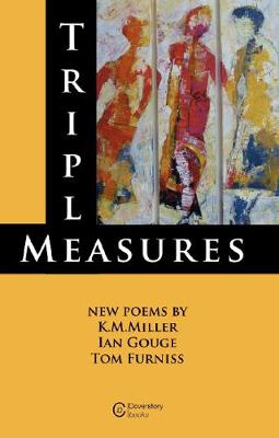 Book cover for Triple Measures