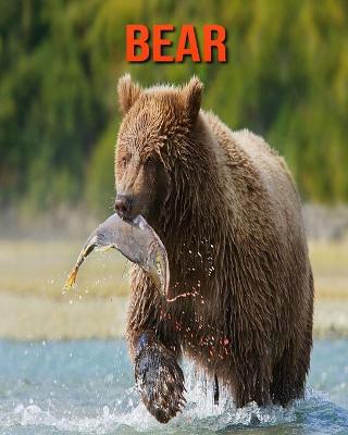 Book cover for Bear