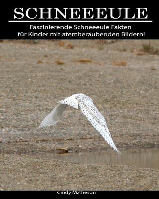 Book cover for Schneeeule