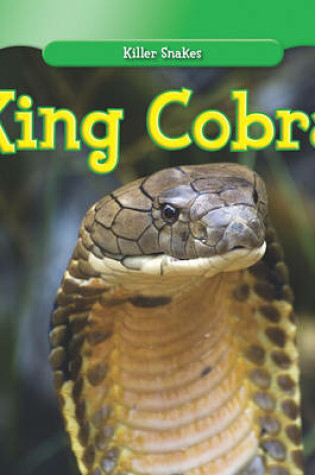 Cover of King Cobra