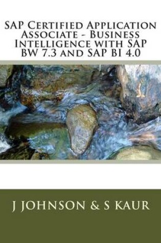 Cover of Business Intelligence with SAP BW 7.3 and SAP BI 4.0