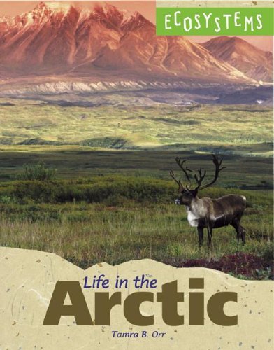 Book cover for Life in the Arctic
