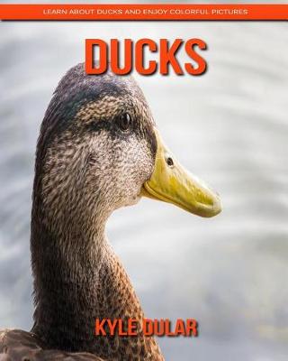 Book cover for Ducks! Learn about Ducks and Enjoy Colorful Pictures