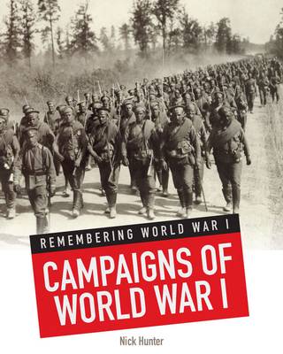 Cover of Campaigns of World War I