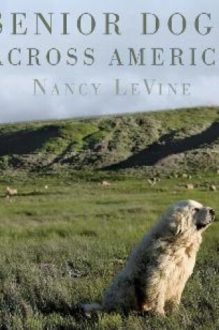 Cover of Senior Dogs Across America