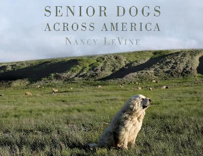 Book cover for Senior Dogs Across America