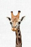 Book cover for Cute Animal Composition Book Giraffe