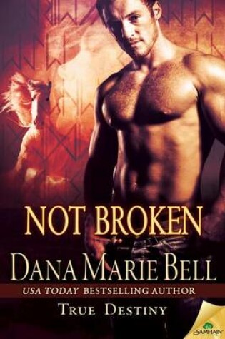 Cover of Not Broken